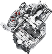 dsg1